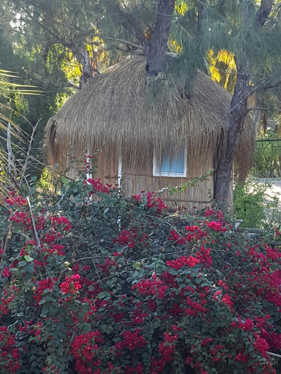 Baraka Beach Vilanculos Εξωτερικό φωτογραφία